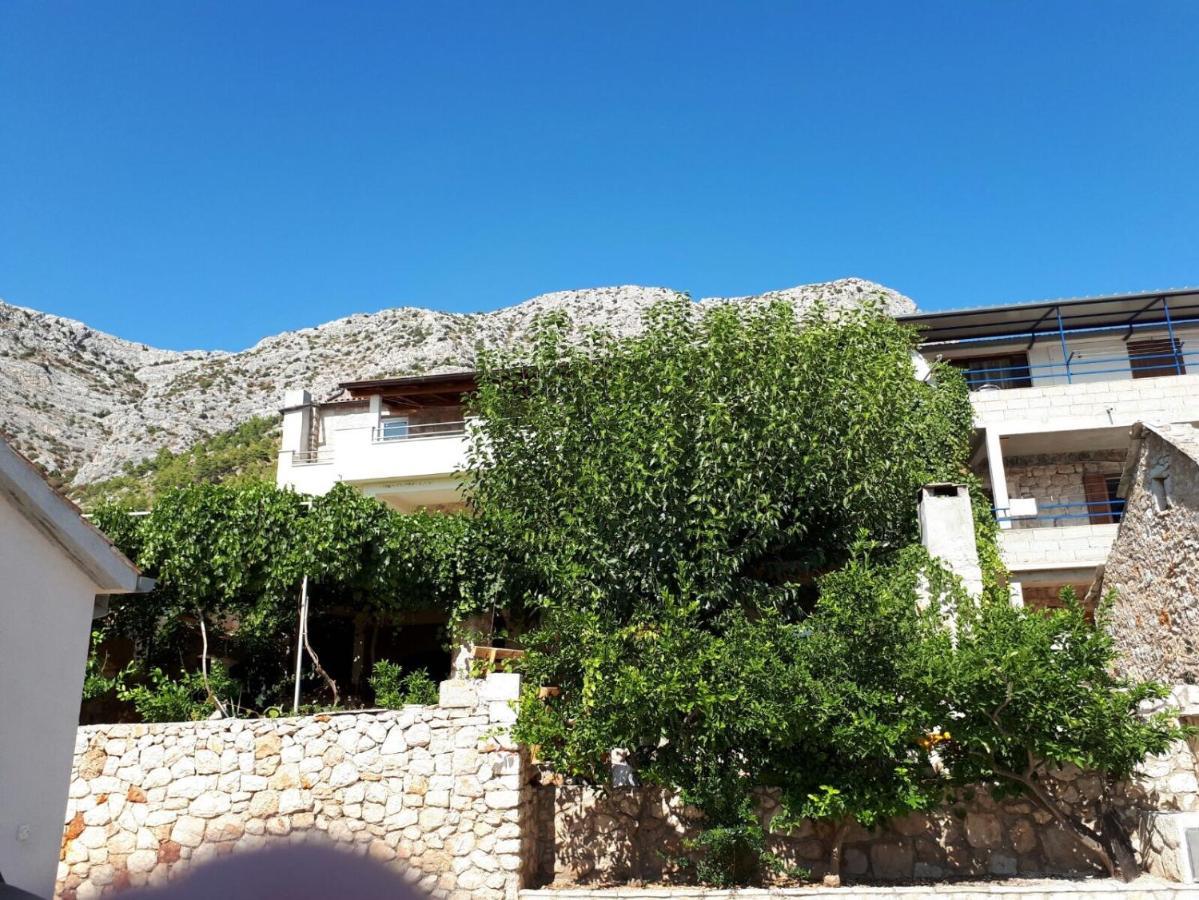 Apartments With A Parking Space Ivan Dolac, Hvar - 8753 외부 사진